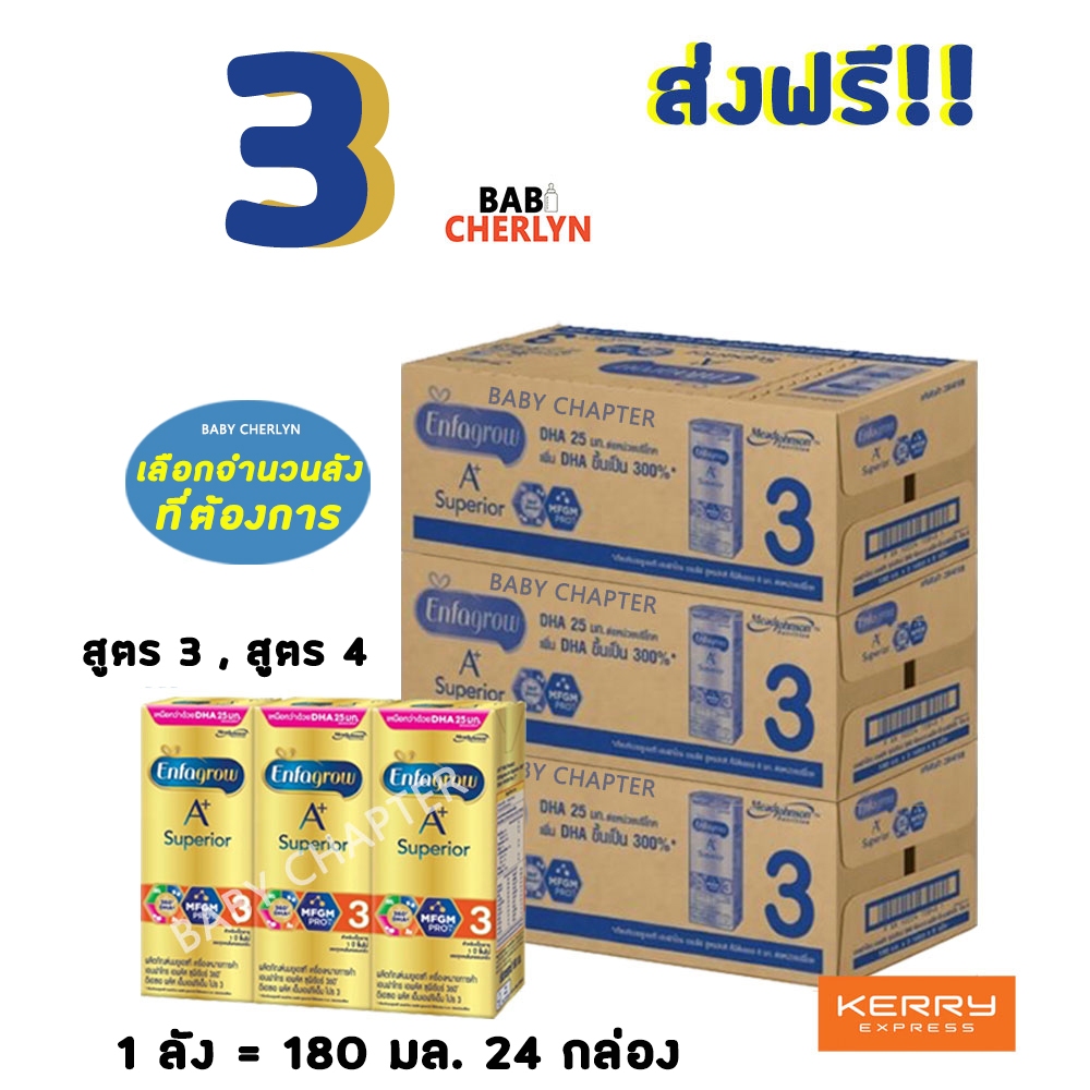 3 ส่งฟรี! Enfagrow A+ Superior สูตร 3 เอนฟาโกร เอพลัส ซุพีเรียร์ 360 กล่องสีทอง 180 มล 24 กล่อง นม น
