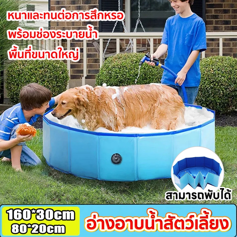 สระน้ำสุนัข สระน้ำสัตว์เลี้ยง พับได้ หนาพิเศษ ไม่ต้องเป่าลม วัสดุPVC สระน้ำพับได้ สระน้ำขนาดใหญ่ สระว่ายน้ำสัตว์เลี้ยง