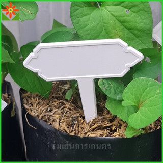 ป้ายพลาสติก ลายไทย ป้ายชื่อต้นไม้ ป้ายลายไทย 10ชิ้น/แพค