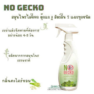 No Gecko สเปรย์สมุนไพรไล่จิ้งจก ตุ๊กแก สัตว์ลิ้นสองแฉก 200ml / 500ml ปลอดภัยต่อคนและสัตวเลี้ยง