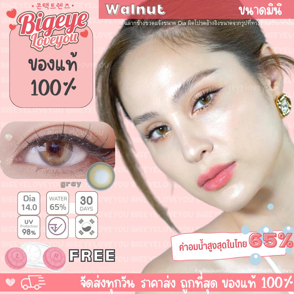 คอนแทคเลนส์ Walnut Gray (Shinee) ขนาดมินิ