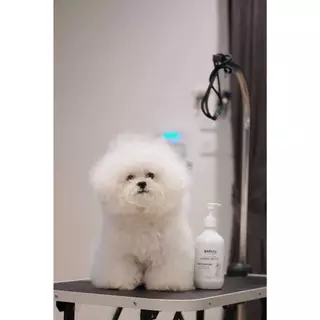 HOF Formula double white magic Shampoo for pets แชมพูขนขาวสำหรับ บิชอง มอลทีส สุนัขขนสีขาว