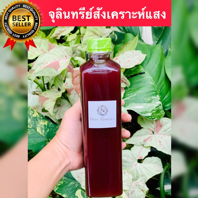 Nisa Garden จุลินทรีย์สังเคราะห์แสงเข้มข้น 500 ml. หัวเชื้อ PSB ปุ๋ยน้ำใช้ได้กับพืชทุกชนิด