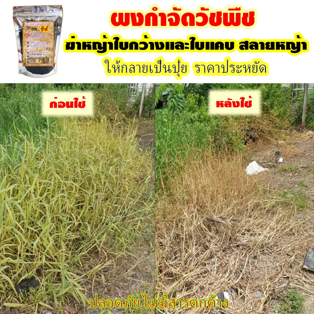 ผงกำจัดวัชพืชโดยเฉพาะ ใช้กำจัดวัชพืชได้ทุกชนิด ไม่เป็นอันตรายต่อคนและสัตว์เลี้ยง (ชนิดโรยหรือผสมน้ำ)