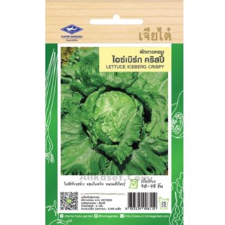 เมล็ดพันธุ์ ไอซ์เบิร์ก คริสปี้ ตราเจียไต๋