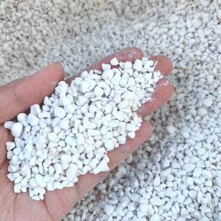 ยกกระสอบ100ลิตร‼️เพอร์ไลท์ (Perlite) 4-8mm. เกรดนำเข้า ฝุ่นน้อย วัสดุปลูก แคคตัส กระบองเพชร เพอร์ไลท์กระสอบ