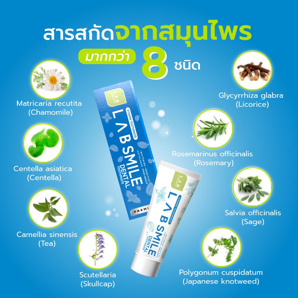 รูปภาพ 8