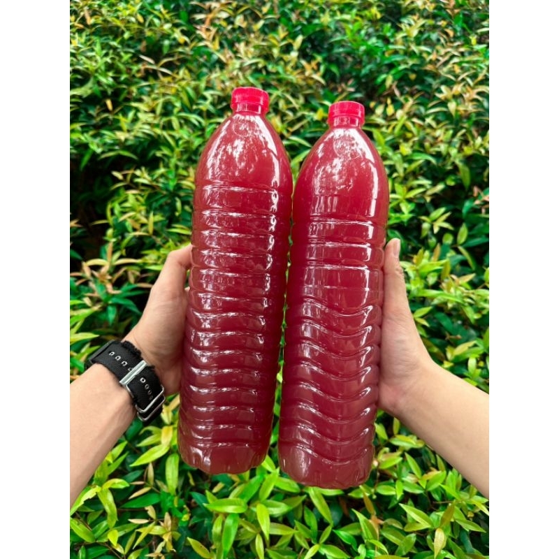 จุลินทรีย์สังเคราะห์แสง NPK ปุ๋ย ปุ๋ยสูตร เร่งราก ดอก ผล ดก บำรุงต้นพืช บำรุงดิน เร่งการเจริญเติบโต ต้นไม้ หัวเชื้อ อามิ