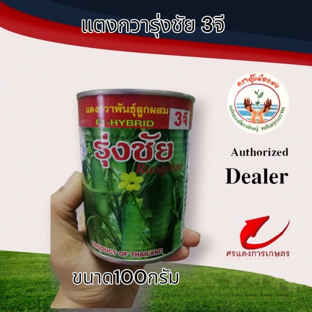 แตงกวารุ่งชัย 3G 100g #เมล็ดพันธุ์แตง #แตงกวา #ขายแตงกวา #ขายเมล็ดพันธุ์ #ขายส่งเมล็ดพันธุ์แตงกวา #เมล็ด #แตง