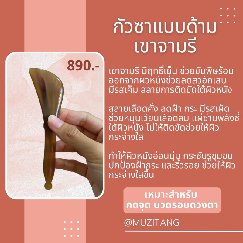 กัวซาแบบด้าม ปลายกว้าง จามรี
