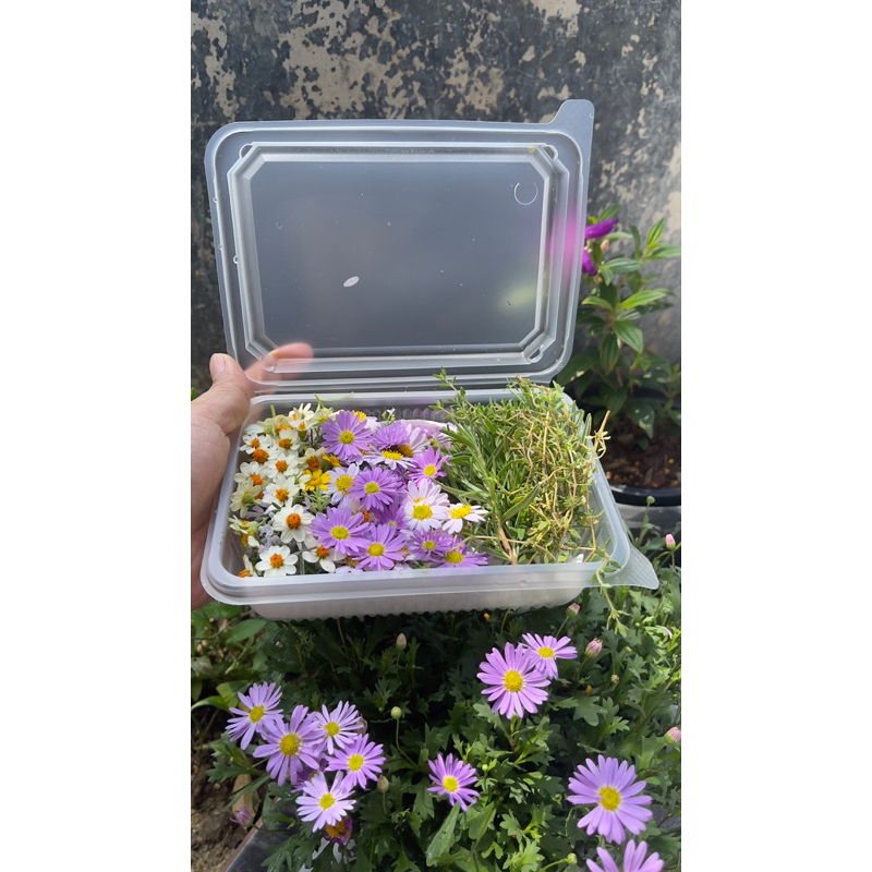 ดอกไม้กินได้ edenble flower พร้อมส่ง   สามารถแจ้งสีได้