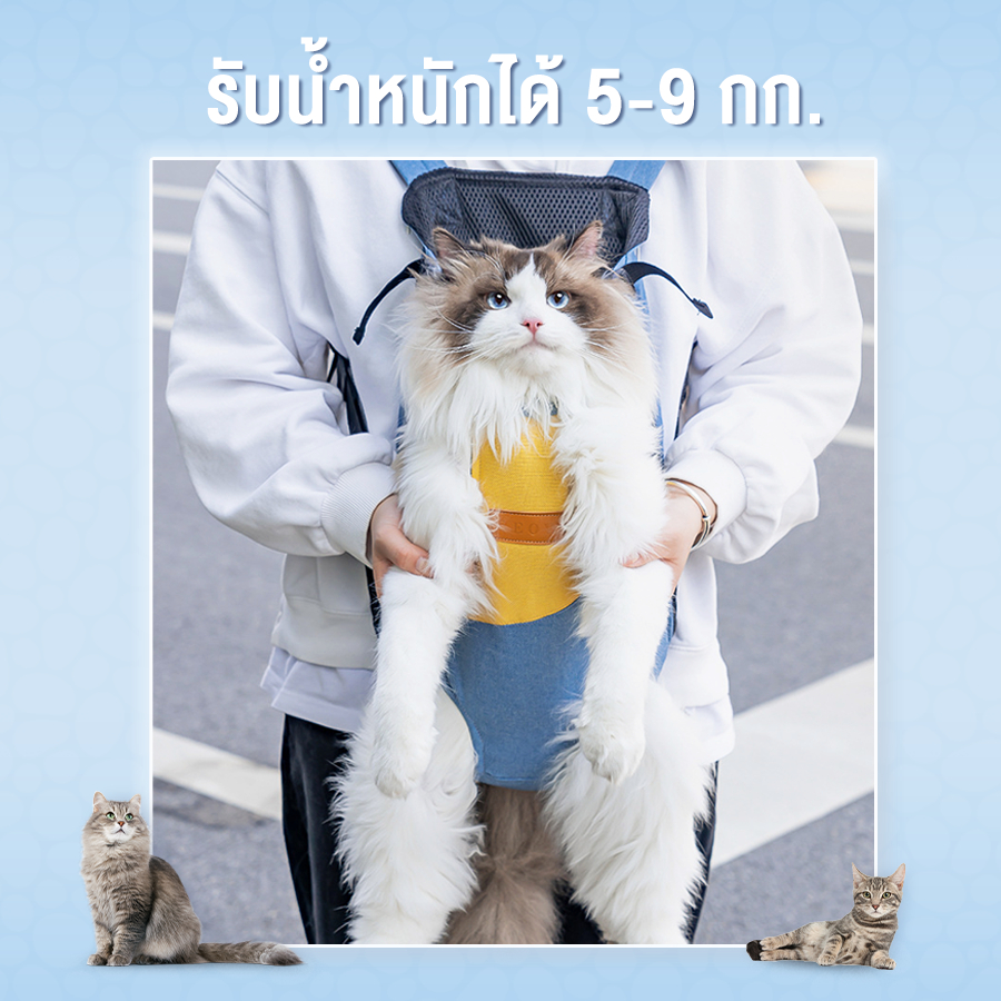 กระเป๋าสัตว์เลี้ยง กระเป๋าสุนัข แมว M L เป้สะพาย เป้ใส่หมา สะพายหลัง Mini Pet Carrier Backpack Dave