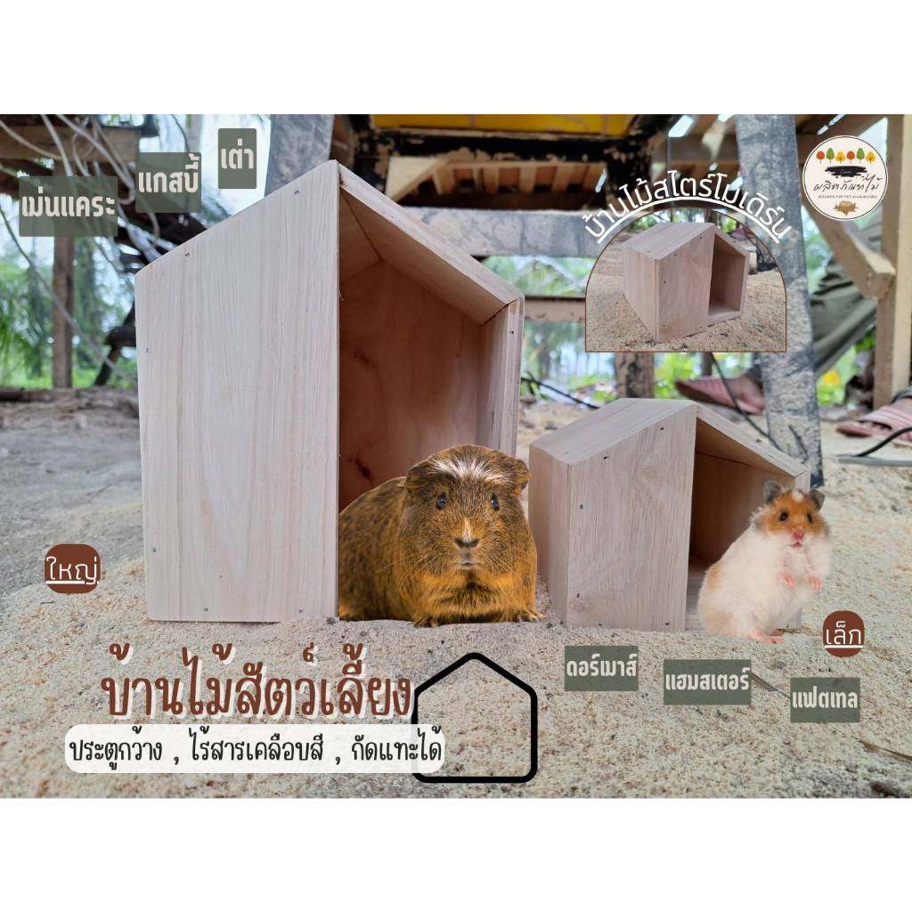 บ้านไม้สัตว์เลี้ยง ที่นอนสัตว์เลี้ยง สไตร์โมเดิร์น  แกสบี้ เม่นแคระ แฮมสเตอร์ ดอร์เมาส์ แฟตเทล ไร้สารเคลือบสี