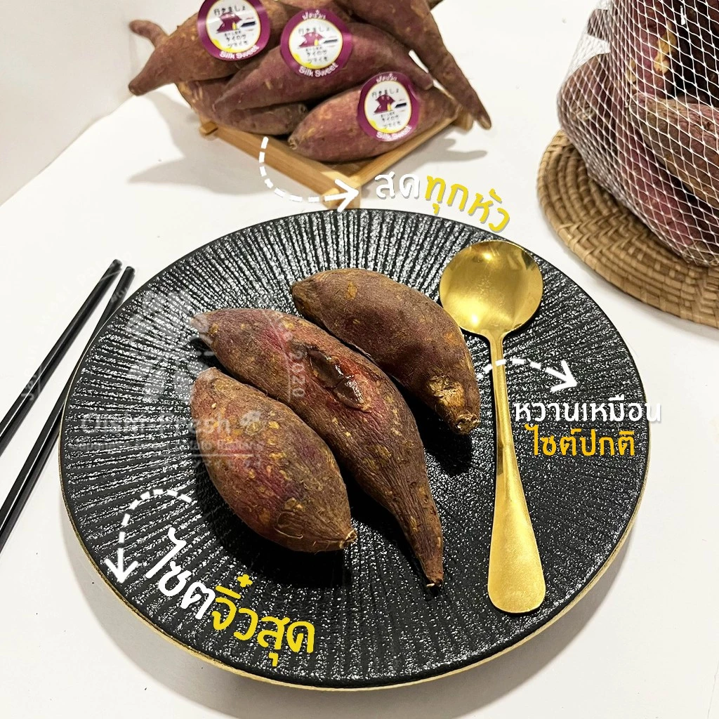 Oishi-Fresh มันหวานญี่ปุ่น 3 สายพันธุ์🍠ไซต์Snack🍠🇹🇭ปลูกไทย🇹🇭เบนิฮารุกะ🍠เนื้อเหลืองนุ่ม หอม หวาน 300-1000 ก.จัดส่ง 24 ชม. thumbnail 5