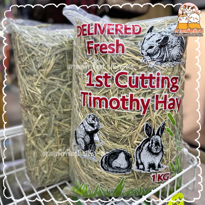 PPETSHOP💥 Timothy 1st Cut หญ้าทิโมธี (ทิโมธีเกรดเอ) สำหรับกระต่าย แพรี่ด็อก 1kg.