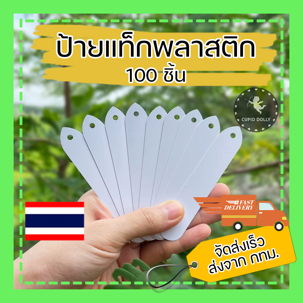 ป้ายแท็ก พลาสติก สีขาว มีรู 10x2 cm. ใช้ปักได้ ใช้แขวนได้ ป้ายแท็กต้นไม้ กระบองเพชร ป้ายชื่อต้นไม้
