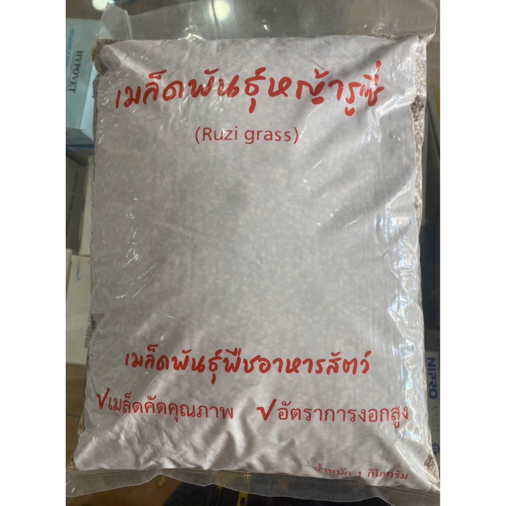 เมล็ดพันธุ์หญ้ารูซี่ (Ruzi Grass)