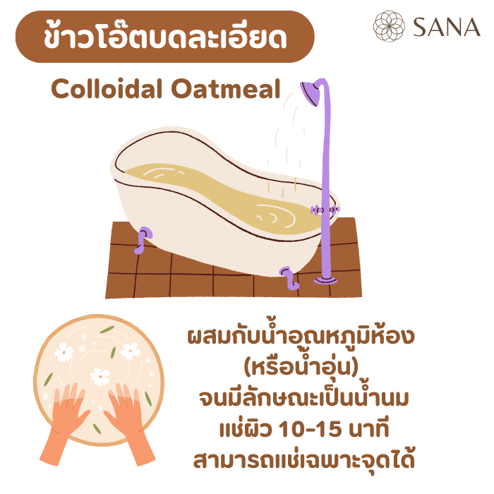 รูปภาพ 4