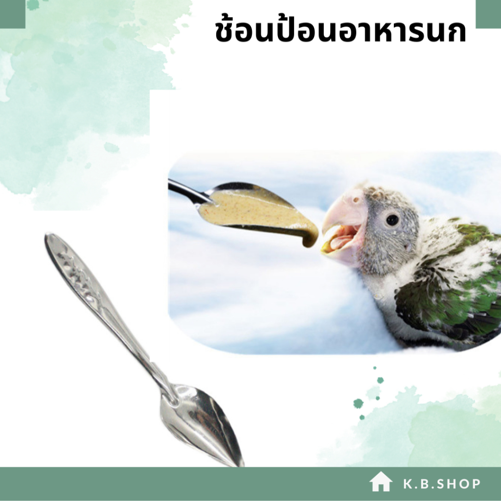 ช้อนป้อนอาหารนก ป้อนลูกนก สำหรับนกลูกป้อน