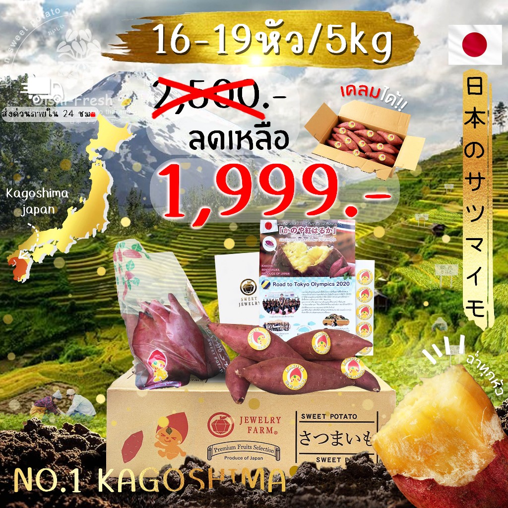 Oishi-Fresh มันหวานญี่ปุ่น Beni haruka แท้จากดองกี้ คัดพิเศษ ไซต์ M 5 กิโลกรัมหวาน หอม เนื้อเหลือง อ