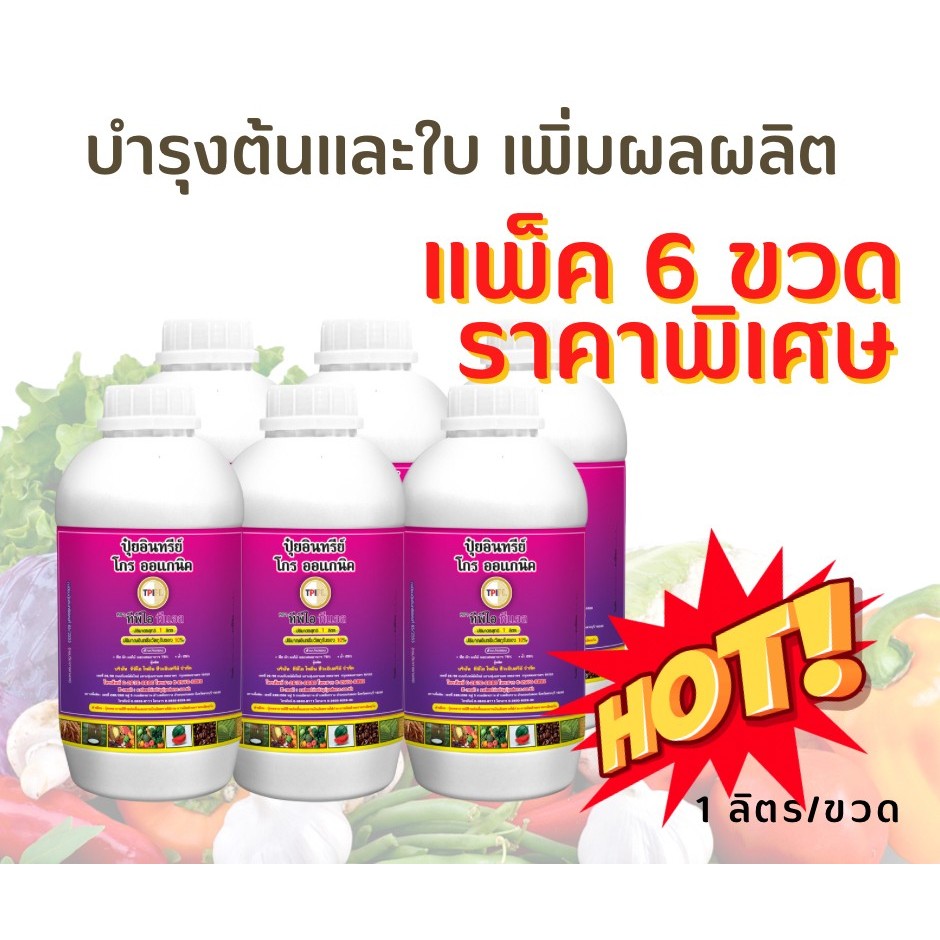 (ของแท้)ปุ๋ยม่วง (โกร ออแกนิค) ยกแพ็ค 6 ขวด สูตรเร่งโต เร่งใบ สำหรับฉีดพ่นทางใบ