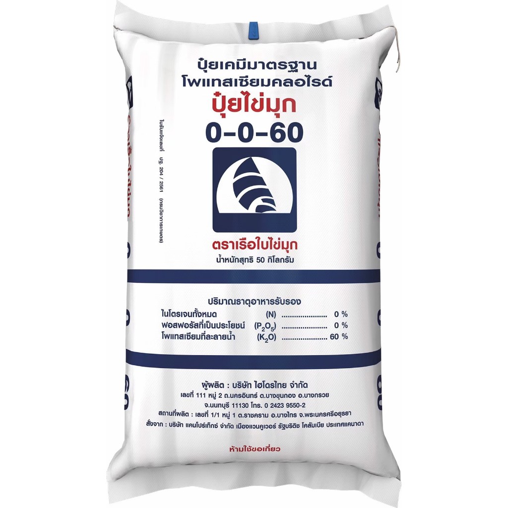 ปุ่ยเคมีเม็ด สูตร 0-0-60 (สั่งได้ครั้งละ 1กระสอบ)ตราเรือใบไข่มุก (เม็ดขาว/ เม็ดแดง) ขยายขนาดไม้ผล พื