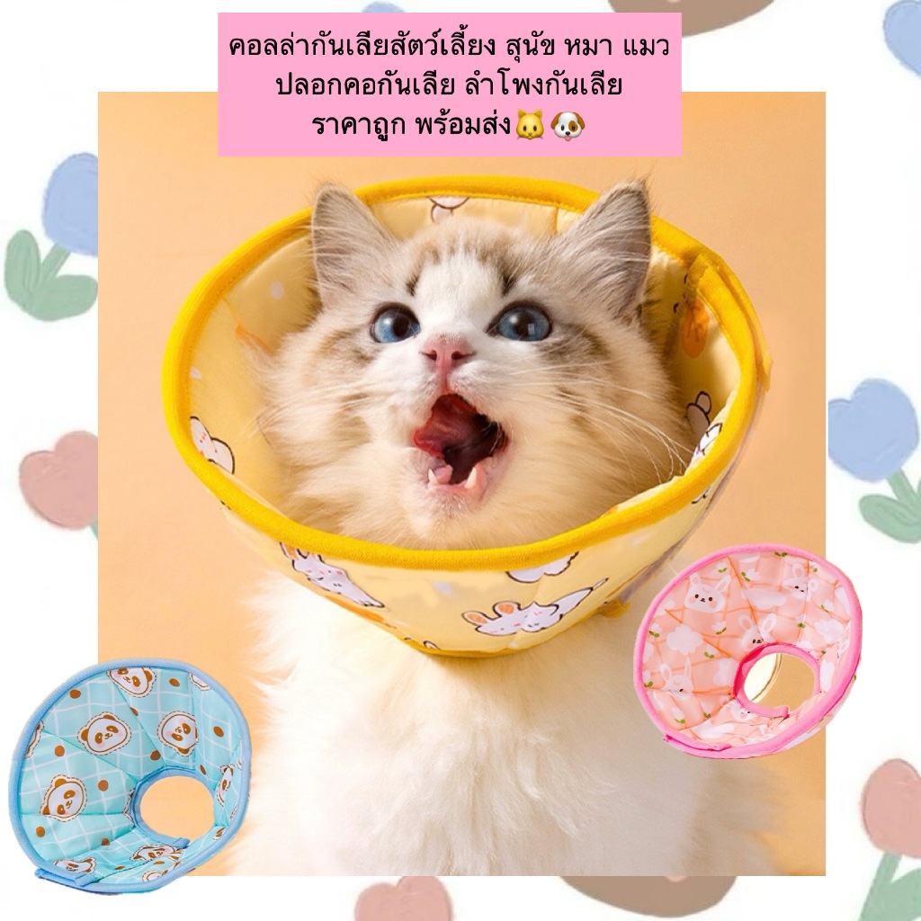 BN-484 คอลล่ากันเลียสัตว์เลี้ยง สำหรับแมวและสุนัข 💫 ปลอกคอกันเลียแผล รุ่นนิ่มพิเศษ ใส่สบาย ไม่บาดผิว ไม่อึดอัด ช่วยป้องก