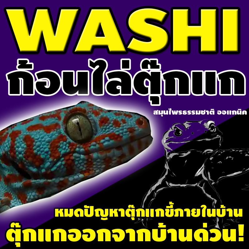ก้อนไล่ตุ๊กแกwashiสมุนไพรธรรมชาติ