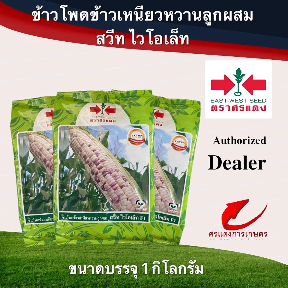 เมล็ดพันธุ์ ข้าวโพดข้าวเหนียวสวีทไวโอเล็ท 1000 เมล็ด 1Kg. #ข้าวโพดข้าวเหนียว #เมล็ดข้าวโพด #เมล็ดพันธฺุ์ศรแดง