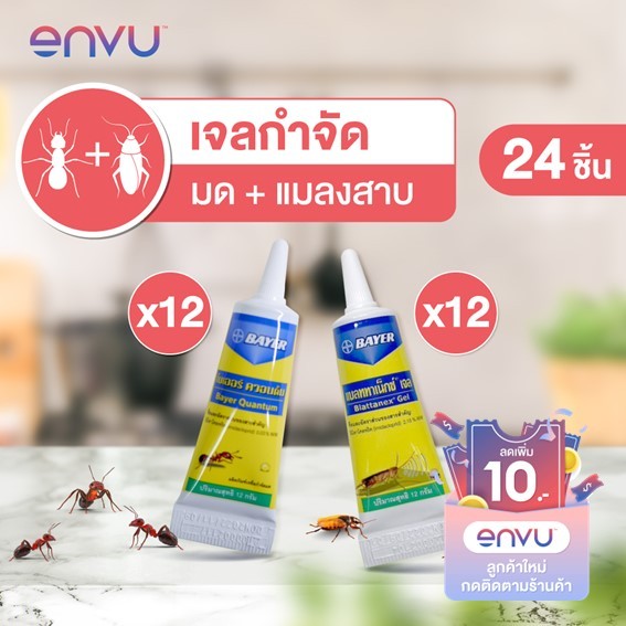 [ชุด] Quantum เจลกำจัดมด ควอนตั้ม 12 ชิ้น  +  Blattanex Gel เจลกำจัดแมลงสาบ แบลททาเน็กซ์ เจล 12 ชิ้น