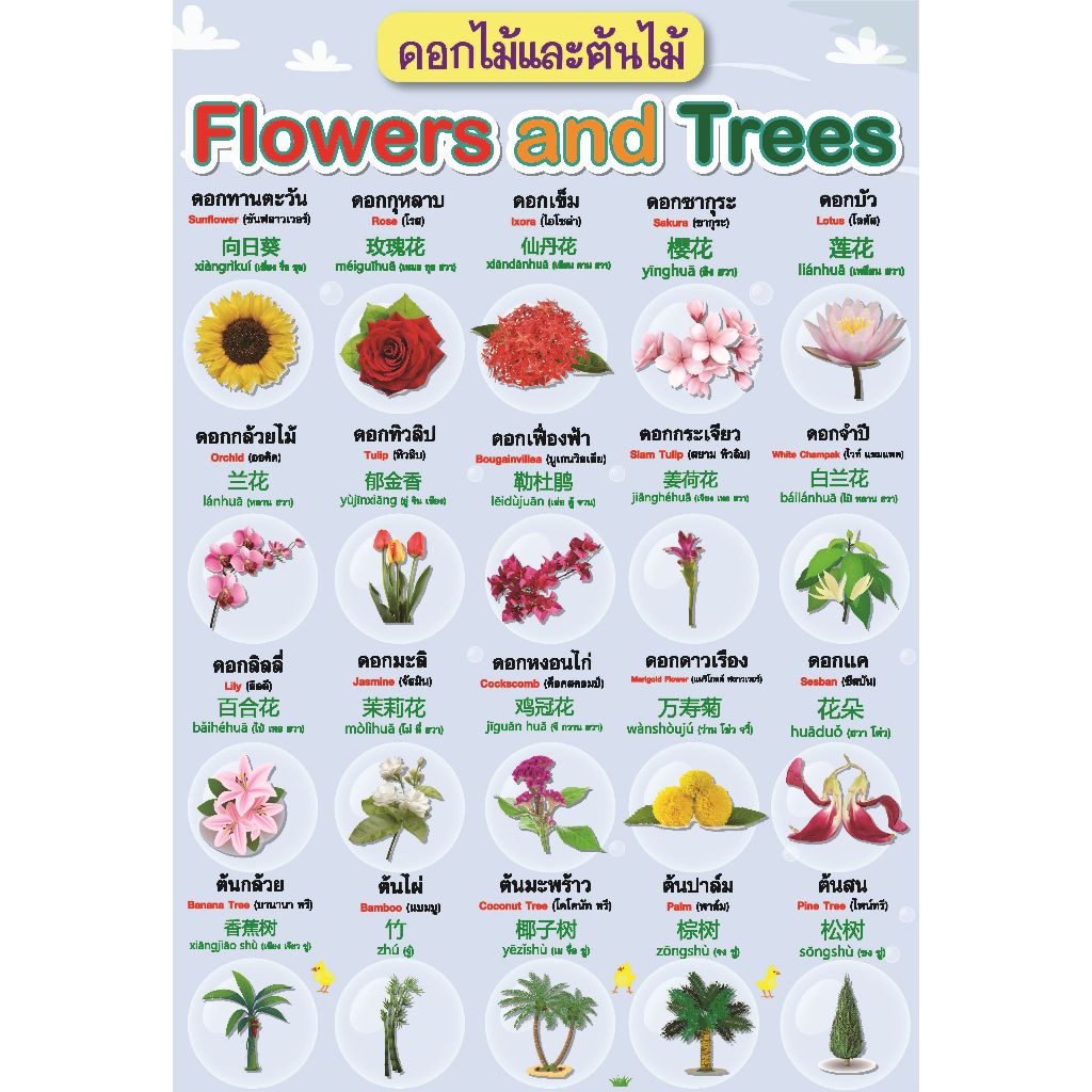 โปสเตอร์ ต้นไม้ดอกไม้ 2022