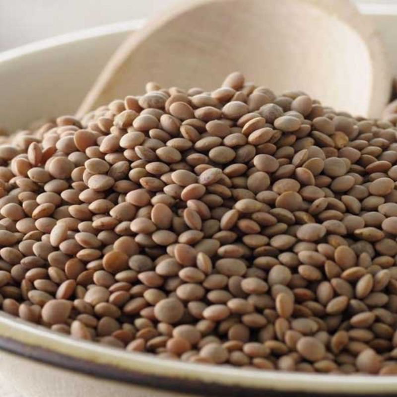 Masoor Sabut Dal – Brown and Orange lentils 500g.
