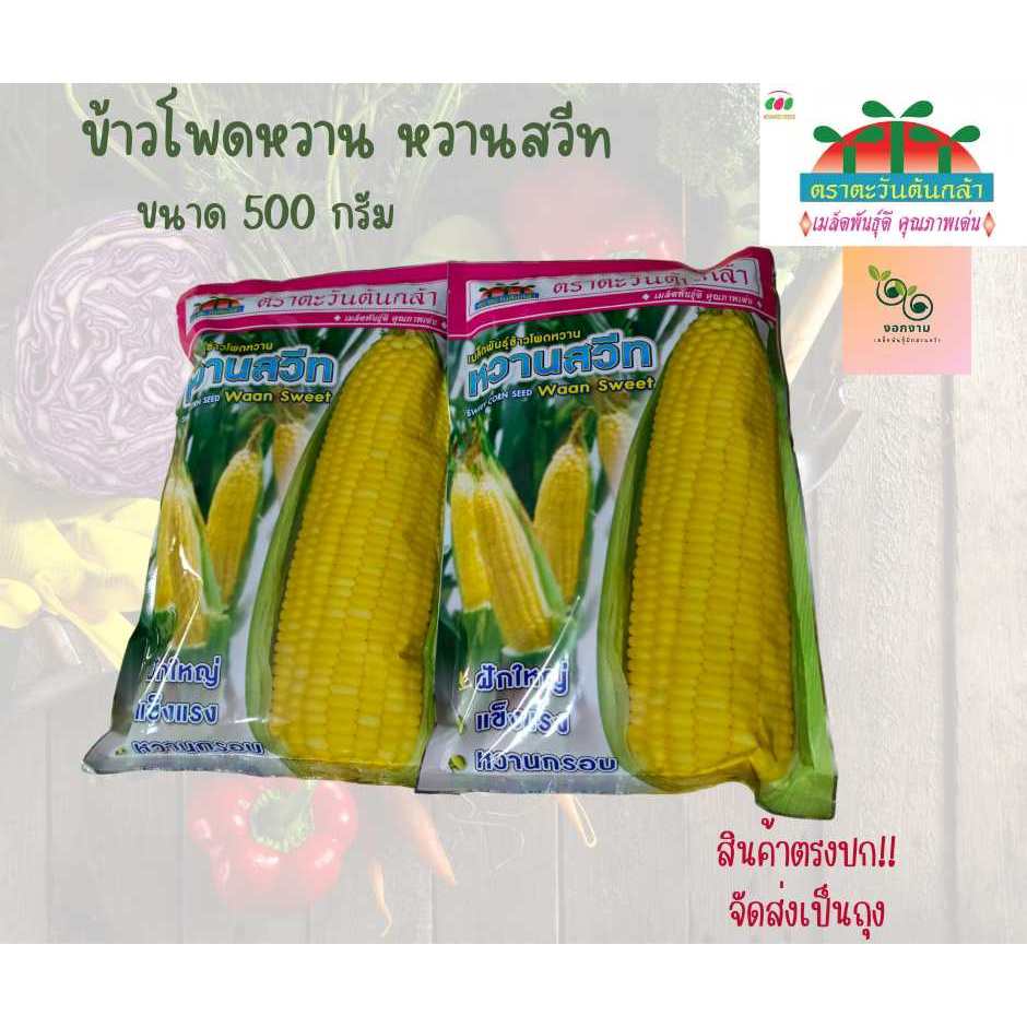 เมล็ดข้าวโพดหวาน หวานสวีท ขนาด 500 กรัม