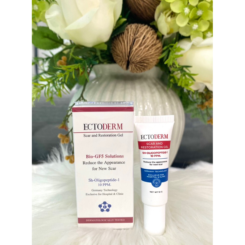 Ectoderm ช่วยสมานแผล และฟื้นฟูกระบวนการสร้างเซลล์ผิว