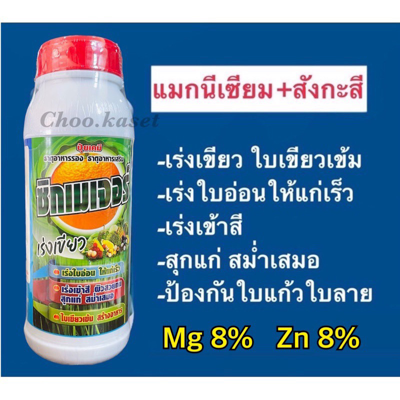ซิกเนเจอร์ ซิกเมเจอร์(แมกนีเซียม+สังกะสี)เร่งเขียว เข้าสี 1 ลิตร