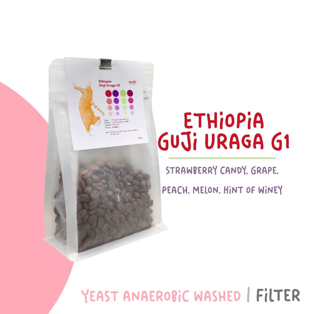 [แมวคั่ว] เมล็ดกาแฟ Ethiopia Guji Uraga G1 (micro lot), Yeast anaerobic washed process 120g