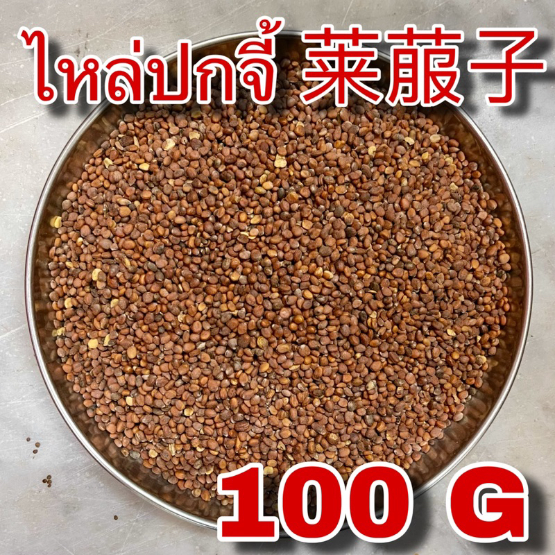 ไหล่ปกจี้ 100 กรัม (莱菔子 100g) ไหลฝูจื่อ เมล็ดหัวไชเท้า เมล็ดหัวผักกาดขาว พกจี้ Lai Fu Zi Semen Raphani Radish Seed