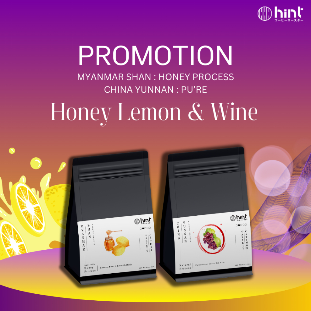 Hint Coffee Roaster Special Package : Honey Lemon&Wine