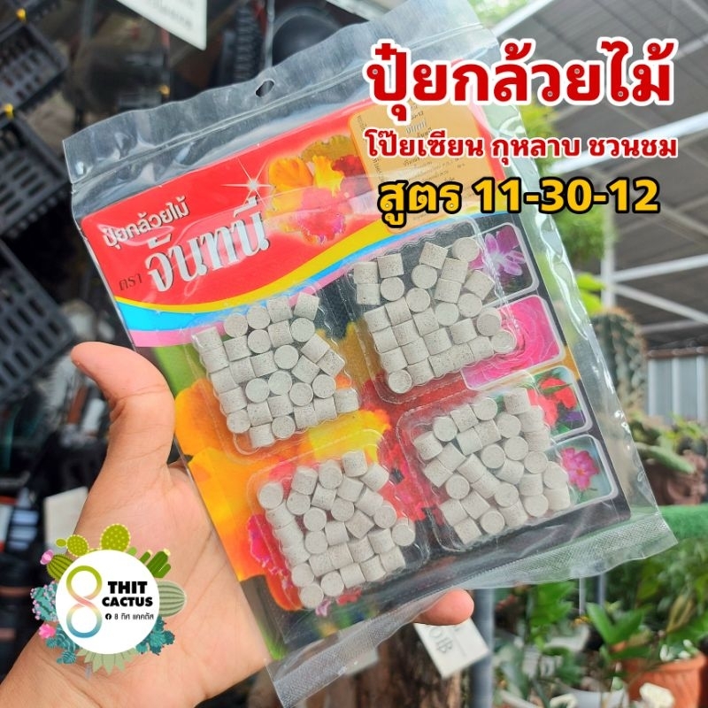 // ปุ๋ยกล้วยไม้จันทนี // แบบเม็ด สูตร 11-30-12 // ปุ๋ยบำรุง โป๊ยเซียน กุหลาบ ชวนชม