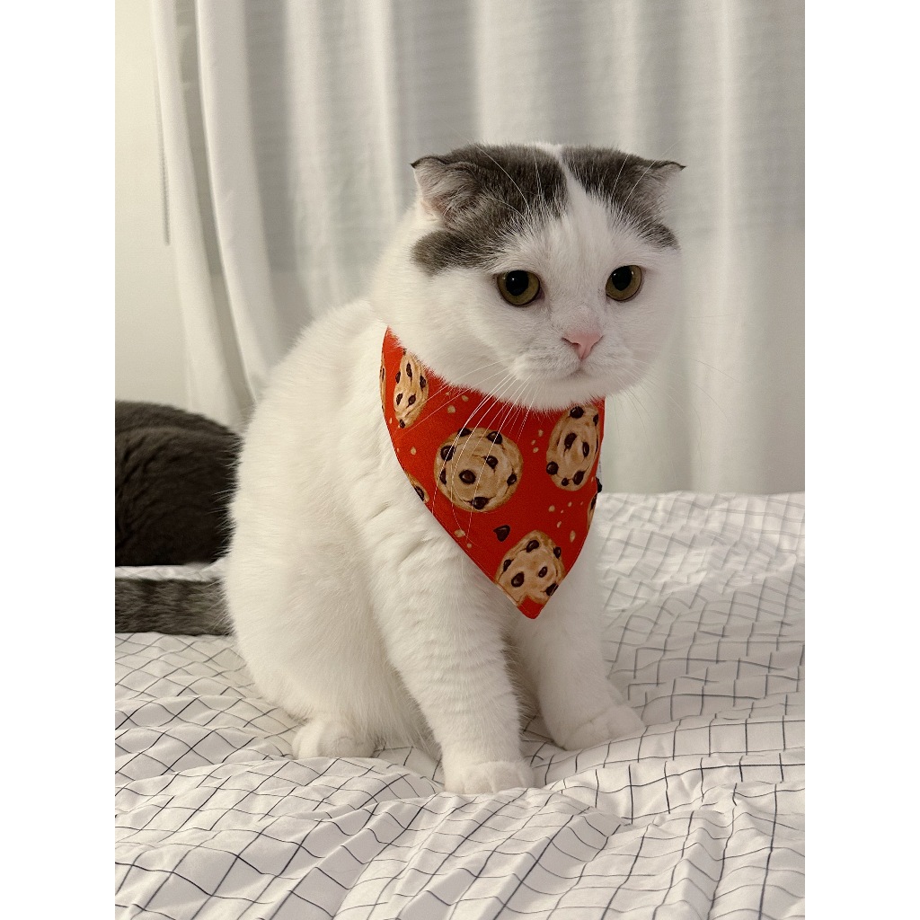 CLAWSET باندانا للحيوانات I'm So Hungry — صورة 8