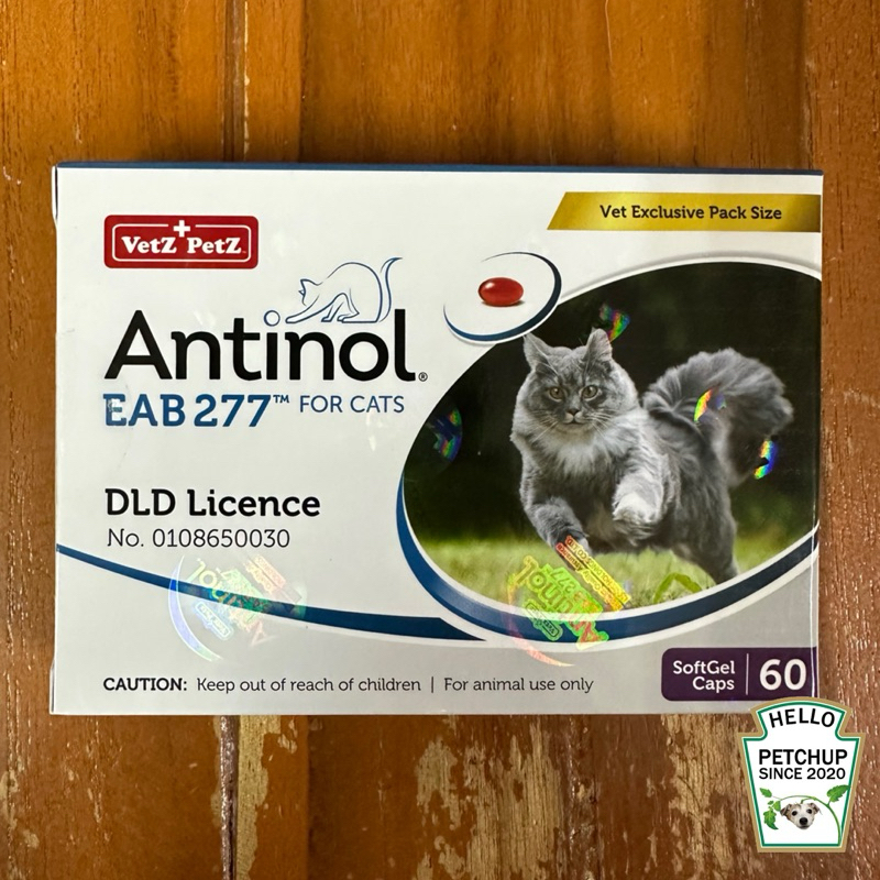 Antinol Cat 60 Capsules สูตรใหม่ EAB 277™ (กล่องใหม่เคลือบโฮโลแกรมรอบกล่อง) หมดอายุ 01/2025