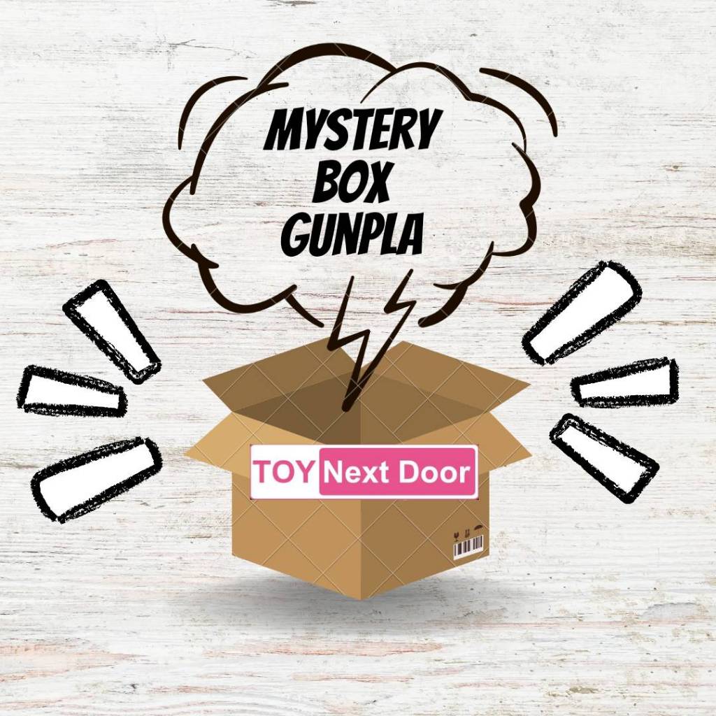 Mystery Box by Toy Next Door กล่องสุ่มกันพลา