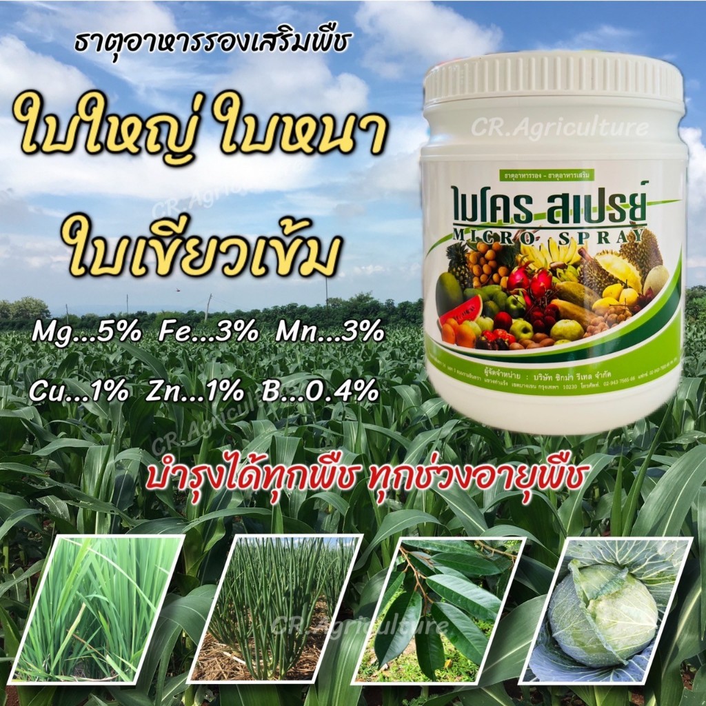 ธาตุอาหารรอง ธาตุอาหารเสริม ไมโคร สเปรย์ ปุ๋ยทางใบ ปุ๋ยเร่งใบ บำรุงพืช ใบเขียว ใบหนา ใบใหญ่ โตเร็วทันใจ