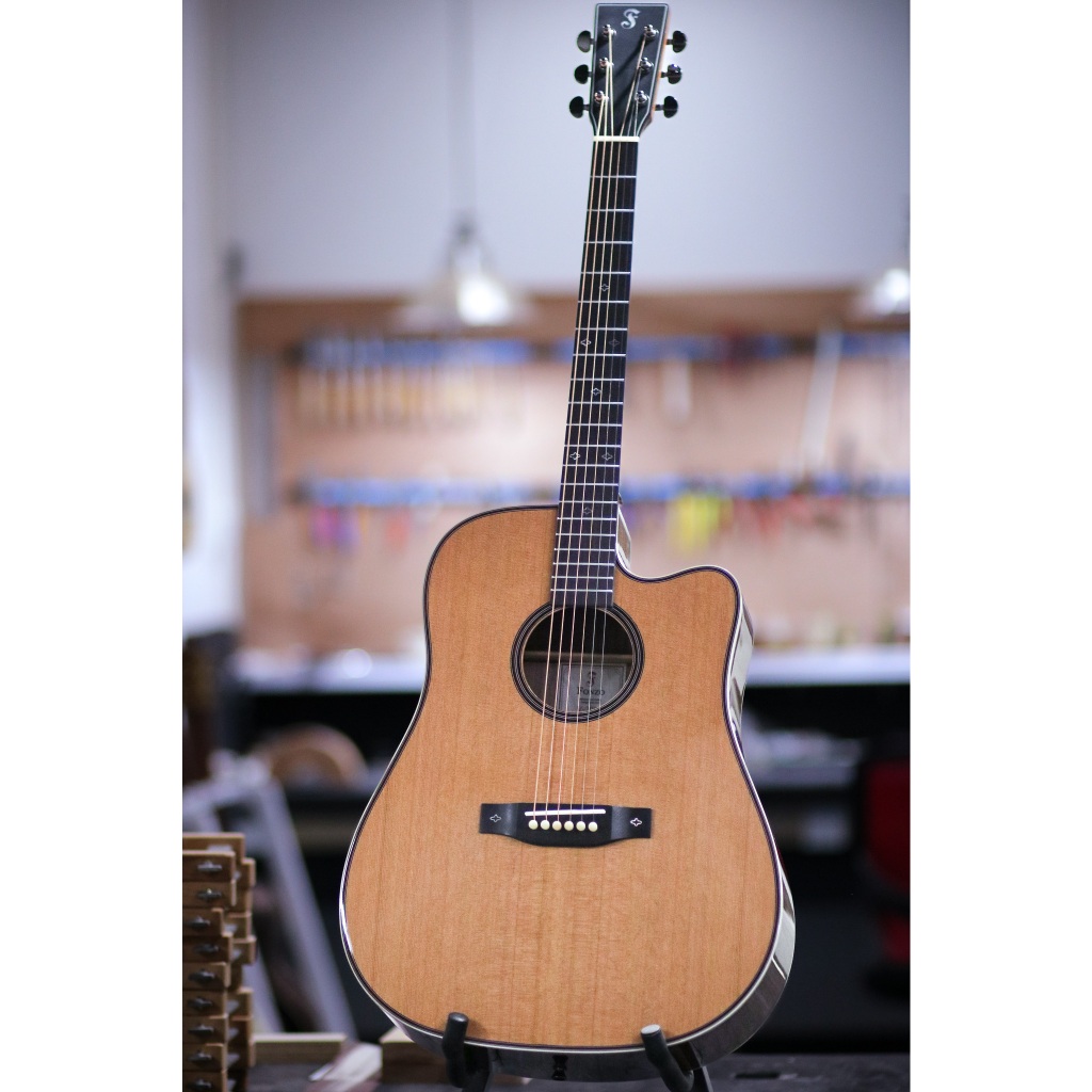 Fonzo V-200C Dreadnought Cutaway