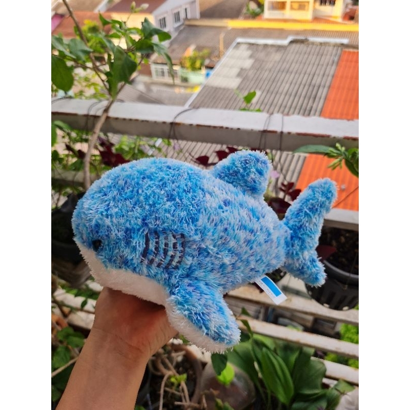 ตุ๊กตาปลาฉลาวาฬ งาน Okinawa churaumi aquarium สภาพดี น่ารักกก