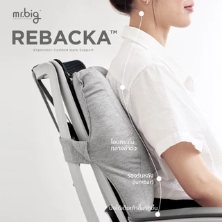 mr.big หมอนรองหลังรุ่น REBACKA