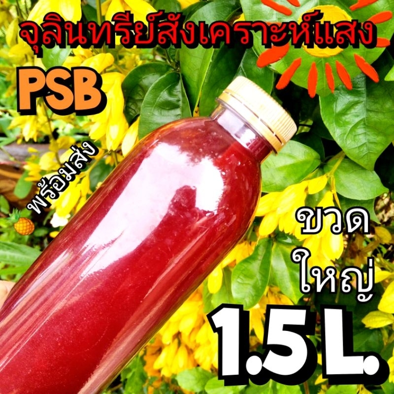 จุลินทรีย์สังเคราะห์แสงPSB ขนาดใหญ่ 1.5 ลิตร