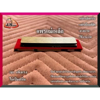 แถบ แม่เหล็ก ตามปีเกิด รุ่นใหม่ สวยงาม ไม่ขึ้นสนิม จัดส่งเร็ว
