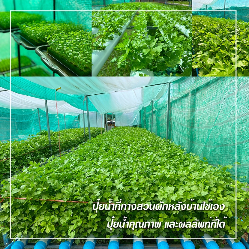 รูปภาพ 8