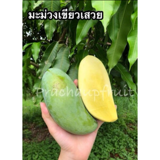 มะม่วงเขียวเสวย 📍 มะม่วงมัน แก่จัด เนื้อเหลือง อร่อยมากก 😍